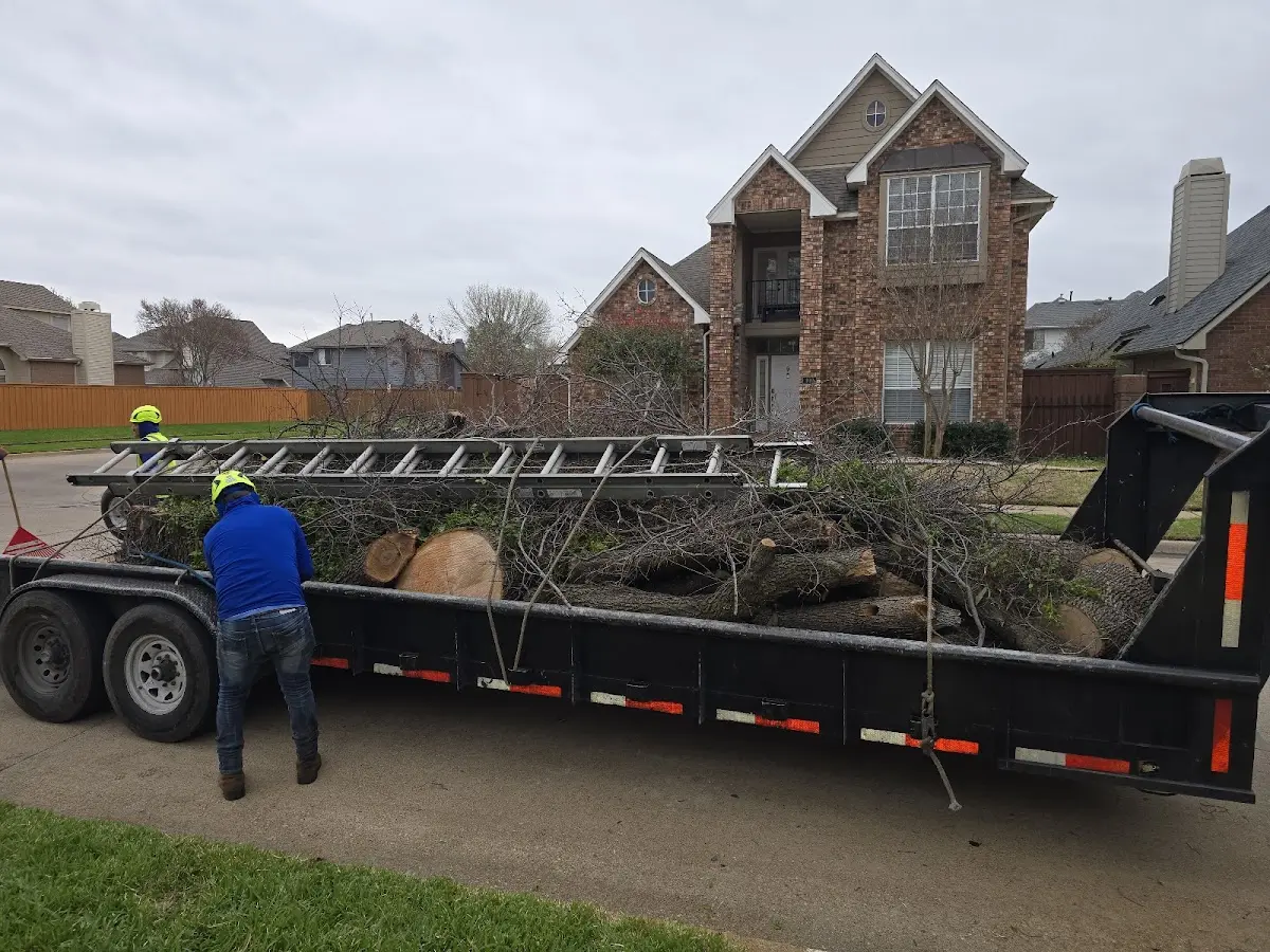 Expert Tree Removal with proper safety equipment in Bourbonnais